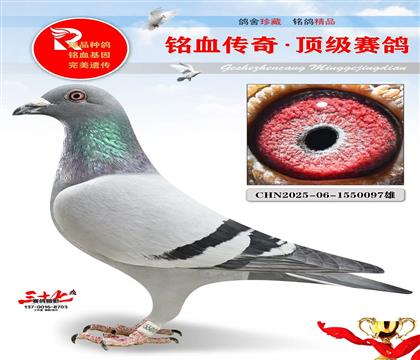 北京壹号、克拉克、超级好