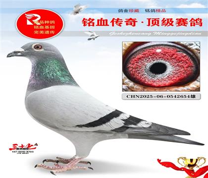 北京壹号、克拉克、超级