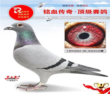 兰布瑞契、速度快