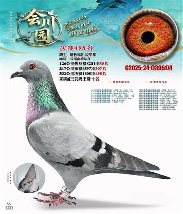 会川园决赛498名(鸽王10名)