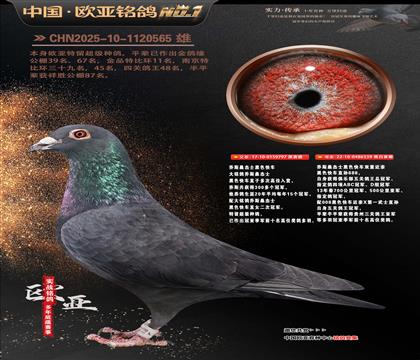 乔斯桑杰士黑色快车797X539