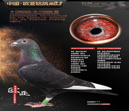 乔斯桑杰士黑色快车797X539