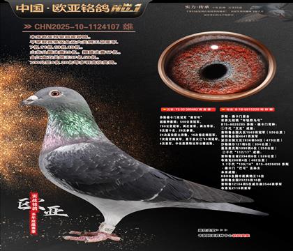 乔斯佛卡门原舍682X220