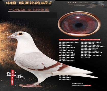 西佛依托全国冠军泰山号多重近亲481X256