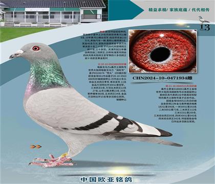 电脑614X061直子X018X061直女近亲