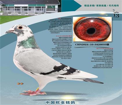 电脑超级种公926X金母453