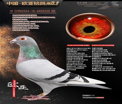 电脑桑杰士048X电脑戈马利453