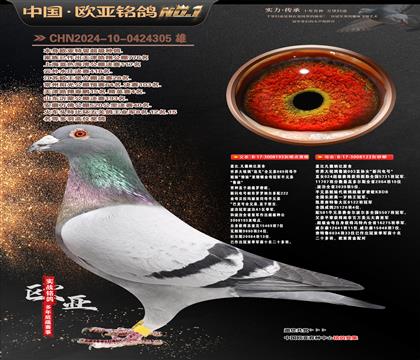 盖比.凡德纳比原舍193X123