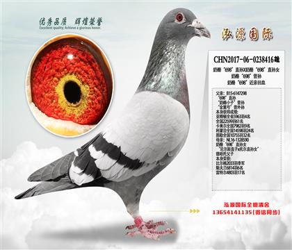 奶酪“698”直孙X奶酪“698”直孙女