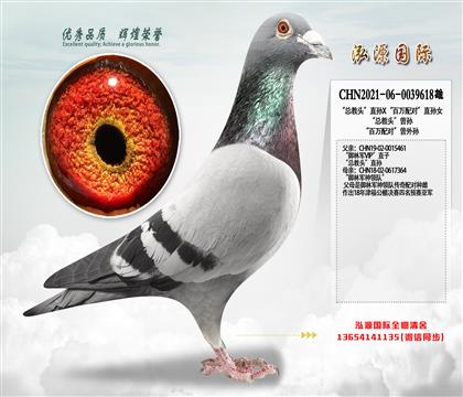 御林军“总教头”直孙X“百万配对”直孙女