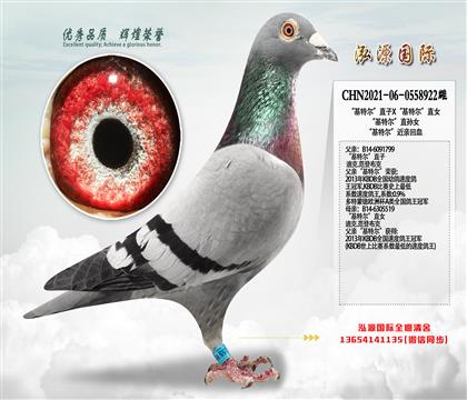 “基特尔”直子X“基特尔”直女