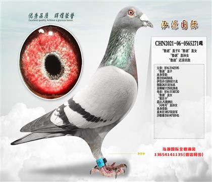 “鲁迪”直子X“鲁迪”直女