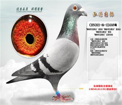 “御林军总教头”直孙X“御林军总教头”直孙女