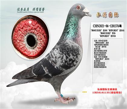 “奥林匹克003”直孙X“新梦幻配对”直孙女