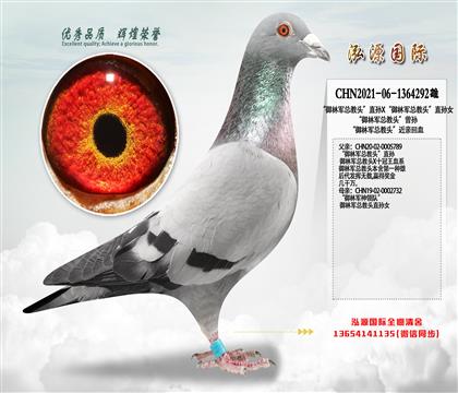 “御林军总教头”直孙X“御林军总教头”直孙女