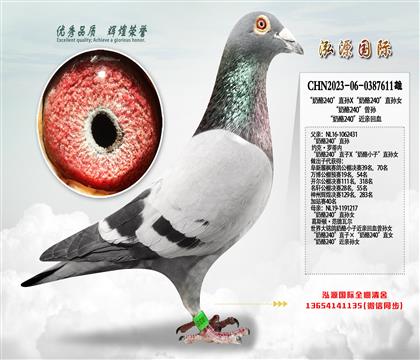 “奶酪240”直孙X“奶酪240”直孙女