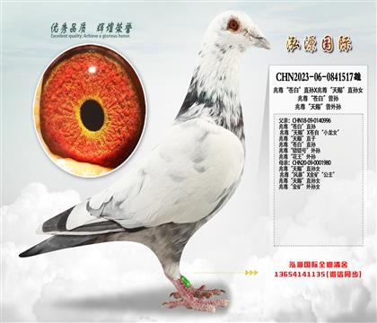 兆尊“苍白”直孙X兆尊“天赐”直孙女