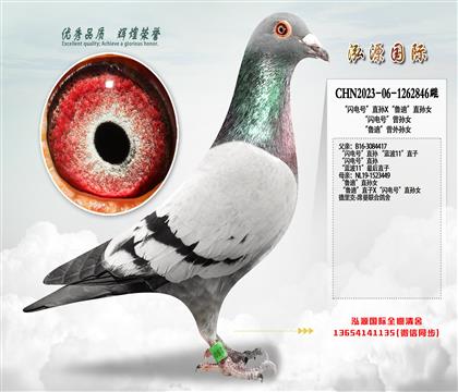 “闪电号”直孙X“鲁迪”直孙女