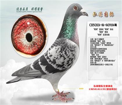 “哈利”直孙X“哈利”孙女