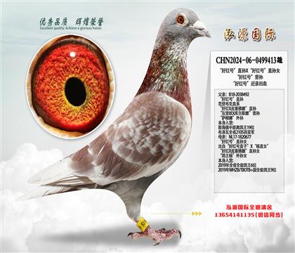 “好红号”直孙X“好红号”直孙女