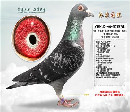 “迪卡普里奥”直孙X“迪卡普里奥”直孙女