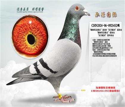 “御林军总教头”直孙X“百万配对”直孙女