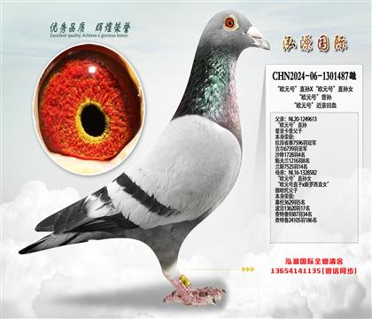 “欧元号”直孙X“欧元号”直孙女