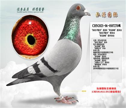 “知名17配对”直孙X“幸运848”直孙女