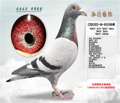 “基特尔”直子X“基特尔”直孙女