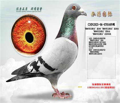 “御林军总教头”直孙X“御林军总教头”直孙女