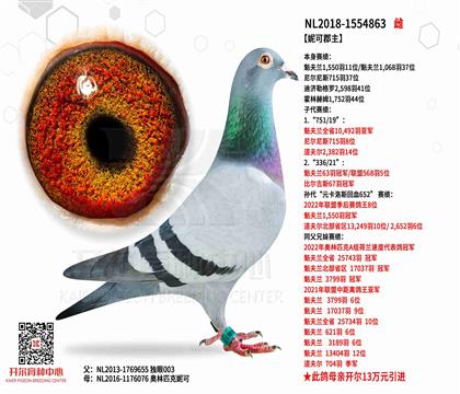 2祖母-1554863图