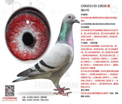 2.父亲-139256