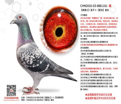 2父亲-0861161