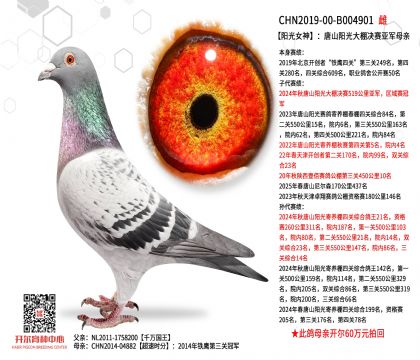 3母亲-B004901