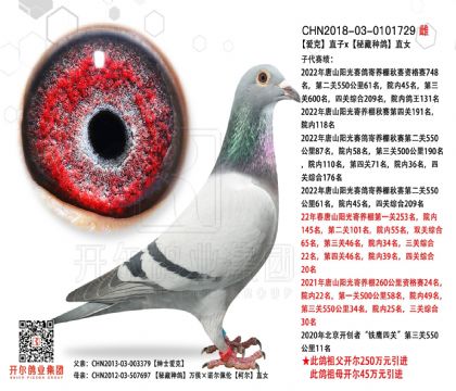 3母亲-0101729