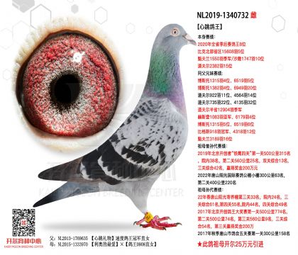 3母亲NL2019-1340732