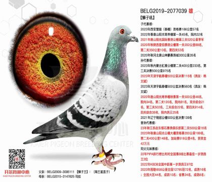3外祖父-2077039
