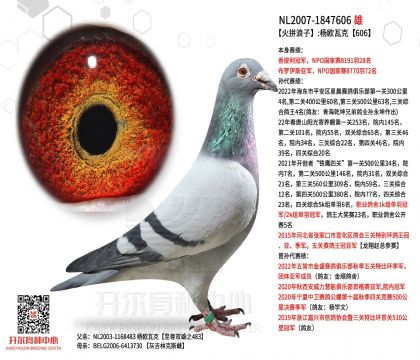 2父亲-1847606