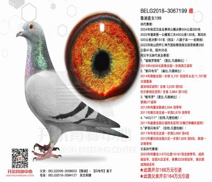 3母亲-3067199