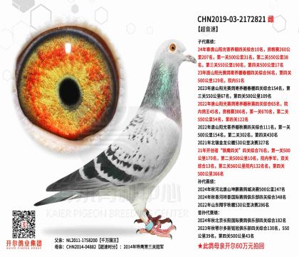 3母亲-2172821