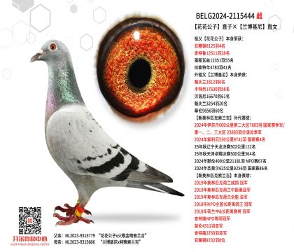 3母亲-2115444