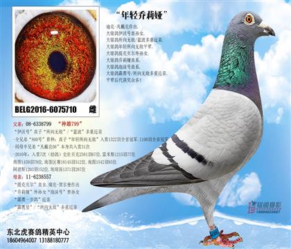 母亲