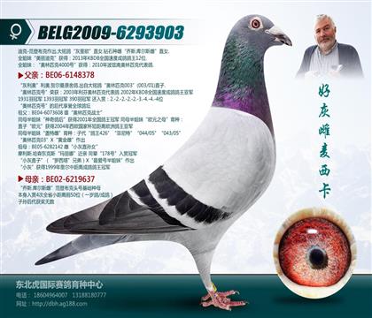 母亲