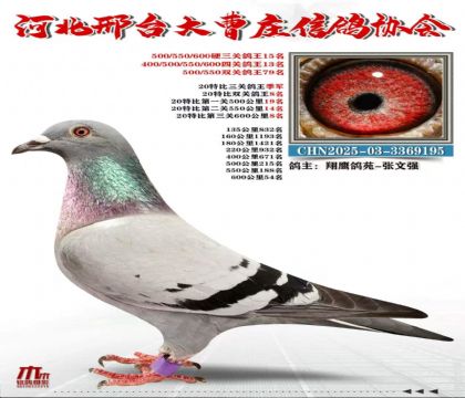 20�ر����ظ�������