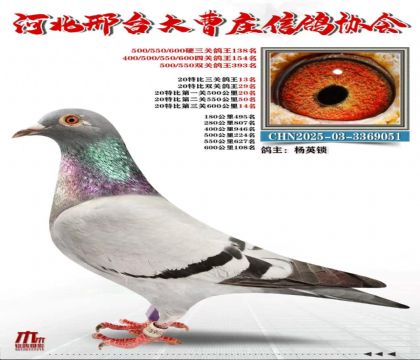 20�ر����ظ���13��