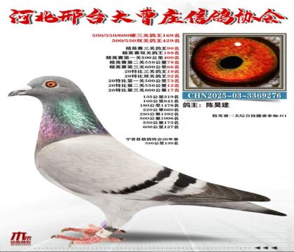 20�ر����ظ���19��
