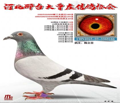 20�ر����ظ���18��