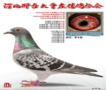 20�ر����ظ���22��