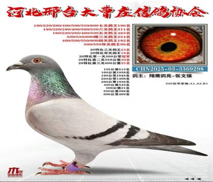20�ر����ظ���23��