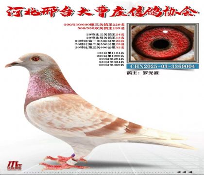 20�ر����ظ���24��